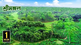 সম্পদে সৌন্দর্যের অনন্য শ্রীমঙ্গল  Sreemangal  Moulvibazar Sylhet  PanoramaDocumentary [upl. by Llert80]