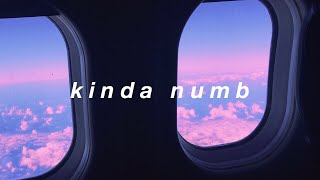 kinda numb  Tate McRae Lyrics [upl. by Nerb]