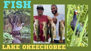 AN AWESOME DAY ON LAKE OKEECHOBEE [upl. by Satsok]