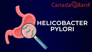 Helicobacter Pylori [upl. by Egief]