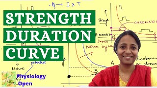 Strength Duration curve  Rheobase and chronaxie  Nerve muscle physiology mbbs 1st year lecture [upl. by Namus]