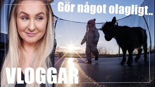 Pojke eller flicka i magen  VLOGG [upl. by Kcinomod]