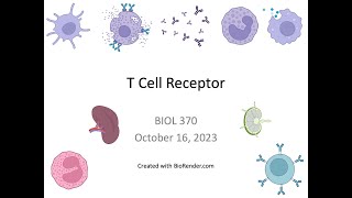 Immunology Fall 2023 Lecture 17 T Cell Receptor [upl. by Cherilynn]