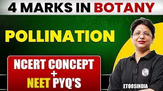 POLLINATION in Plant  POLLINATION class 12  Most Important Topic for NEET  4 Marks पक्के [upl. by Silevi]