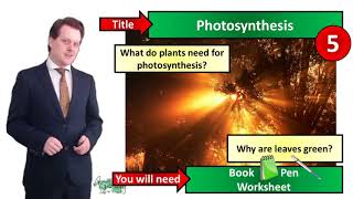 Photosynthesis and Leaf Adaptations  Biology  KS3  Key Stage 3  Mr Deeping [upl. by Muffin397]