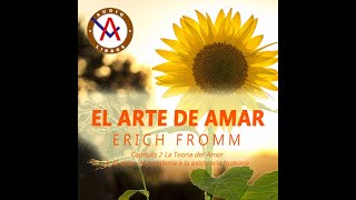 Audiolibro Erich Fromm  El Arte de Amar  Capítulo 21  Voz Humana [upl. by Aicats301]