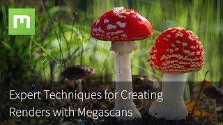 Expert Techniques for Creating Renders with Megascans [upl. by Novrej136]