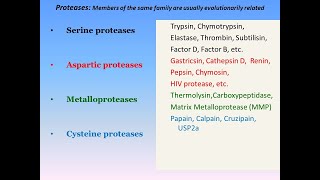 Serine Proteases Mechanism of Action [upl. by Flanders297]