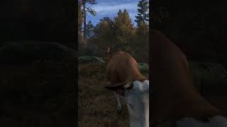 Three cows one of them moos Peaceful postapoc setting gaming custommap dayz dayzserverlinux [upl. by Htaek729]