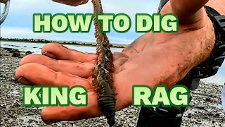 How to dig king Ragworm and why I hate my Brother [upl. by Ralf]