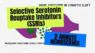 2Minute Neuroscience Selective Serotonin Reuptake Inhibitors SSRIs [upl. by Valsimot]