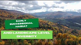 EarlySuccessional Forests and LandscapeLevel Diversity [upl. by Alliscirp]