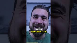 3 LOW FAT recipes for dogs with PANCREATITIS [upl. by Irbua]