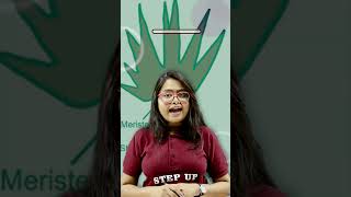 Super Easy Short Tricks Phaeophyceae  NEET BIOLOGY neet2024 stepupacademy phaeophyceae [upl. by Aiouqes509]