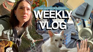 WEEKLY VLOG 🏠 dzieje się na budowie  wąsate życie  powrót do sportu  Tadzik update🐾 dynia 🥘 [upl. by Accem]