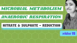 RESPIRATION II ANAEROBIC RESPIRATION [upl. by Pare]