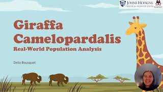 Giraffa Camelopardalis Linear Algebra Project [upl. by Aiker]