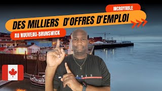 Des milliers doffres demplois au NouveauBrunswick [upl. by Barn]