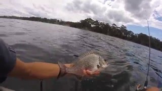 Bream and Snapper  st georges basin [upl. by Yvonne623]