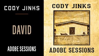 Cody Jinks  quotDavidquot  Adobe Sessions [upl. by Palumbo]