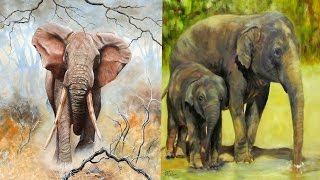 All Elephant Subspecies  Species List ReUpload [upl. by Ayotnom]