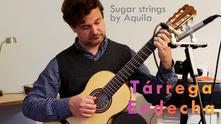 Francisco Tárrega  Endecha  Sugar strings by Aquila  no nails [upl. by Stelu]