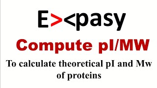 How to calculate isoelectric point amp molecular weight of a protein  Expasys compute pIMW tool [upl. by Jaal276]