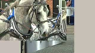 Havre de Grace July Parade [upl. by Ronoc273]