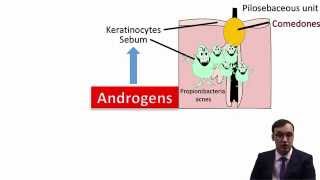 Acne Vulgaris [upl. by Kus630]