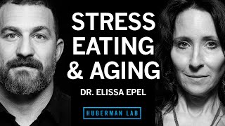 Dr Elissa Epel Control Stress for Healthy Eating Metabolism amp Aging  Huberman Lab Podcast [upl. by Pucida]