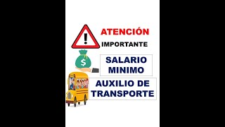 SALARIO MINIMO Y AUXILIO DE TRANSPORTE [upl. by Lisan]