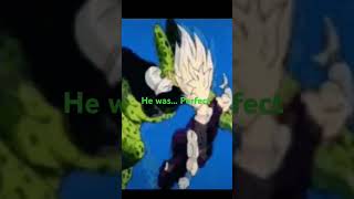 cell perfect BuckyOwO king gohan [upl. by Ramonda]