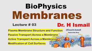 Membrane Transport and Potential Explained  Biophysics Overview  Chapter 02  Dr H Ismail [upl. by Onairda116]