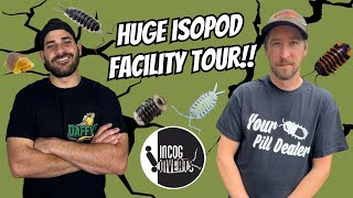 Thousands Of RARE ISOPODS At Incredible Isopod Facility [upl. by Leschen]