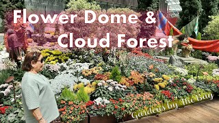 GARDENS BY THE BAY Flower Dome amp Cloud Forest  Singapore Adventure [upl. by Diann]