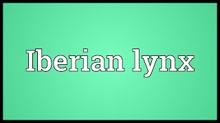 Iberian lynx Meaning [upl. by Jarret]