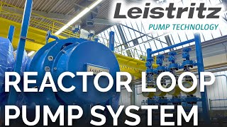 Leistritz Screw Pump Skid for Polymer Reactor Loops  Highly Complex Chemical Application [upl. by Biddy]