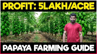 Papaya Farming  Pawpaw Cultivation  COMPLETE GUIDE  How to grow Papaya [upl. by Philcox]