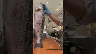 This is the EASIEST way to clean a fish chef michelin finedining fish [upl. by Jeunesse293]