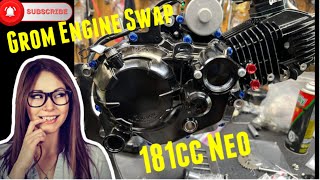 Grom SP 181cc 5 Speed Engine Swap [upl. by Garihc36]