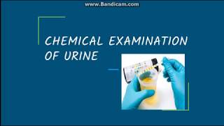 Chemical examination of Urine Proteins [upl. by Sung]