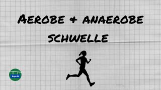 Aerobe amp Anaerobe Schwelle  Laktat wann und wie  Laktatsteadystate  einfach erklärt [upl. by Elane]