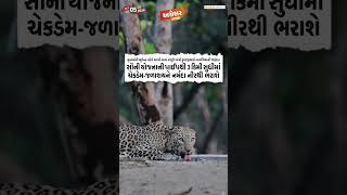 અગ્રેસરગુજરાત  05102024 [upl. by Maribelle]