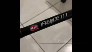 PENN FIERCE 3 LIVE LINER 8000 ROD AND REEL COMBO INDEPTH REVIEW [upl. by Yesdnyl]