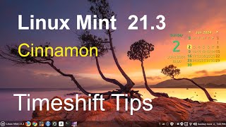 Linux Mint 213  Cinnamon  Timeshift Tips [upl. by Anat545]