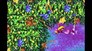 Donkey Kong Country 3GBA FULL GAMEPLAYPart 23 Cotton Top Cove Fish Food Frenzy [upl. by Ger]