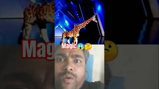 Americas Got Talent 😱🤔 Giraffe Magic got talent Duo Schumacher AGT americagoattalent magic [upl. by Towbin859]