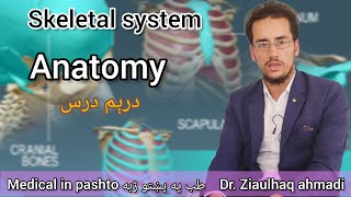 Skeletal system  Anatomy  3rd lesson  اناټومي درېم درس [upl. by Ydderf]