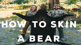 How To Skin a Bear For a Rug  Breakdown Tutorial [upl. by Held]