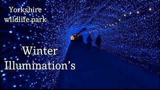 Yorkshire Wildlife Park Winter Illumination’s [upl. by Onitsirc]